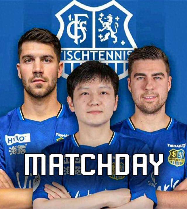 年女排世联 年女排世联