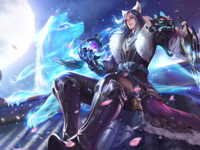 的训练方案 的训练方案